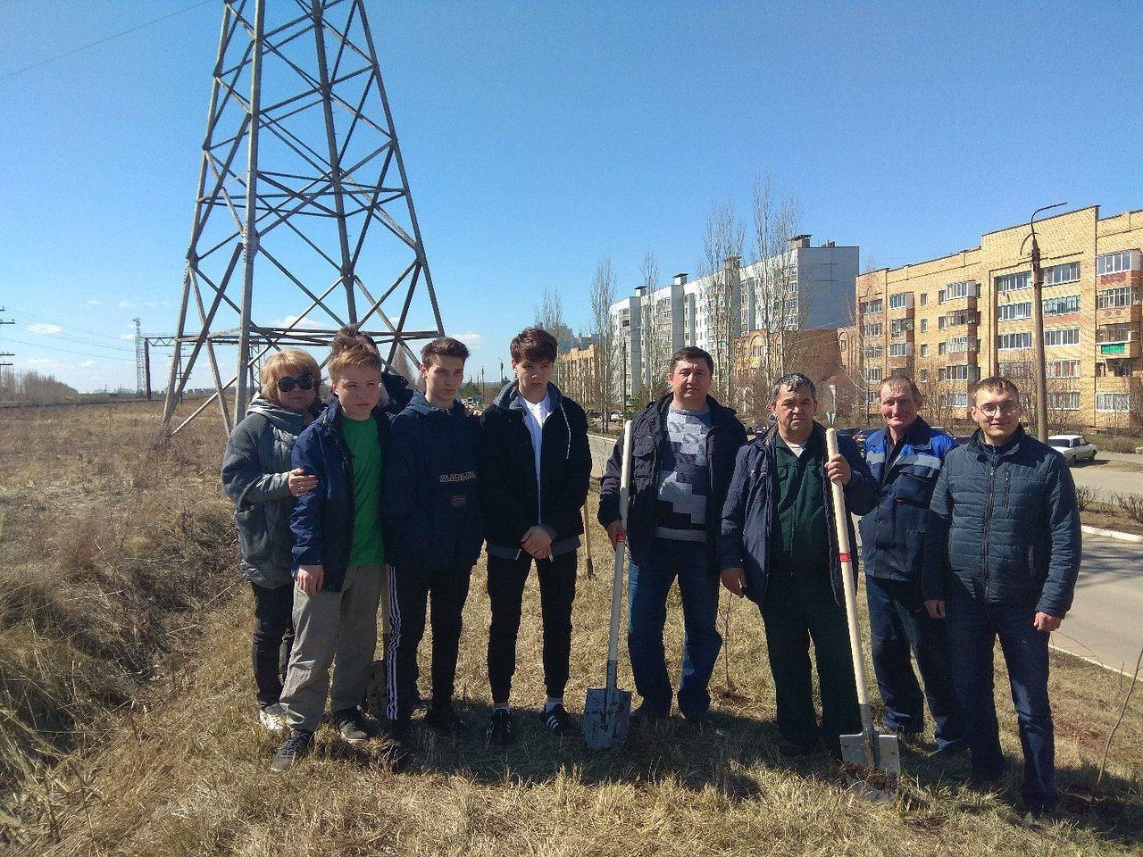 «Зелёный» Менделеевск: какие деревья посадили в городе