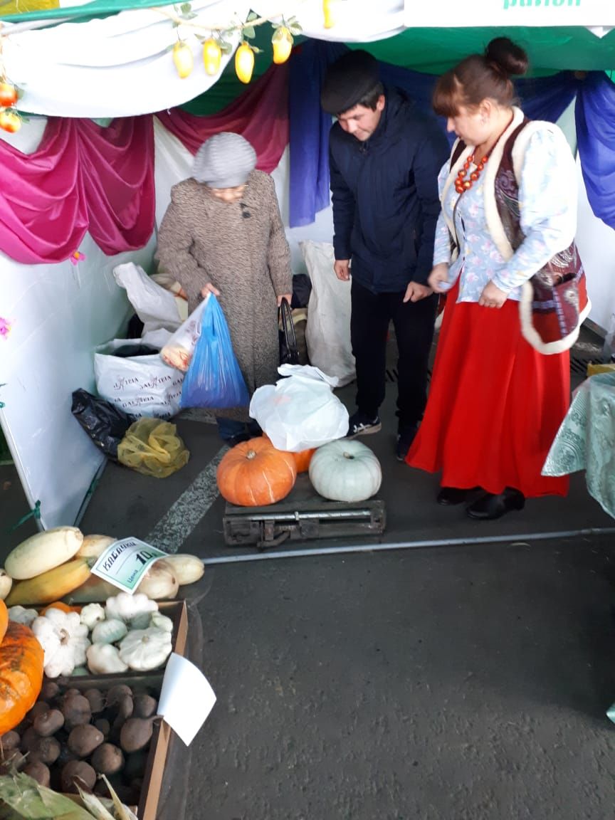 Учреждения образования Менделеевского района представили продукцию на ярмарке в Казани