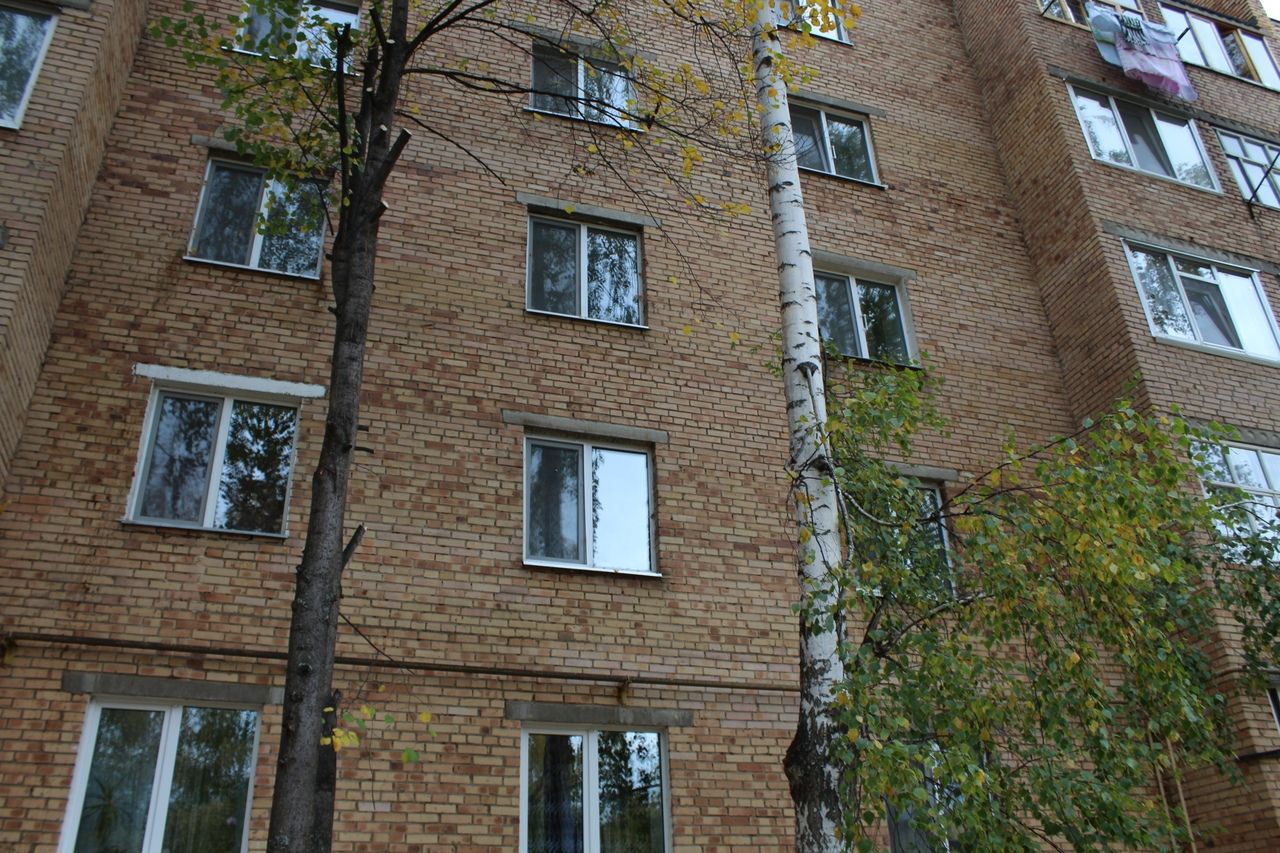 Мешает дерево под окном: на Чоловского, 10 спилили берёзы с нависающими ветвями
