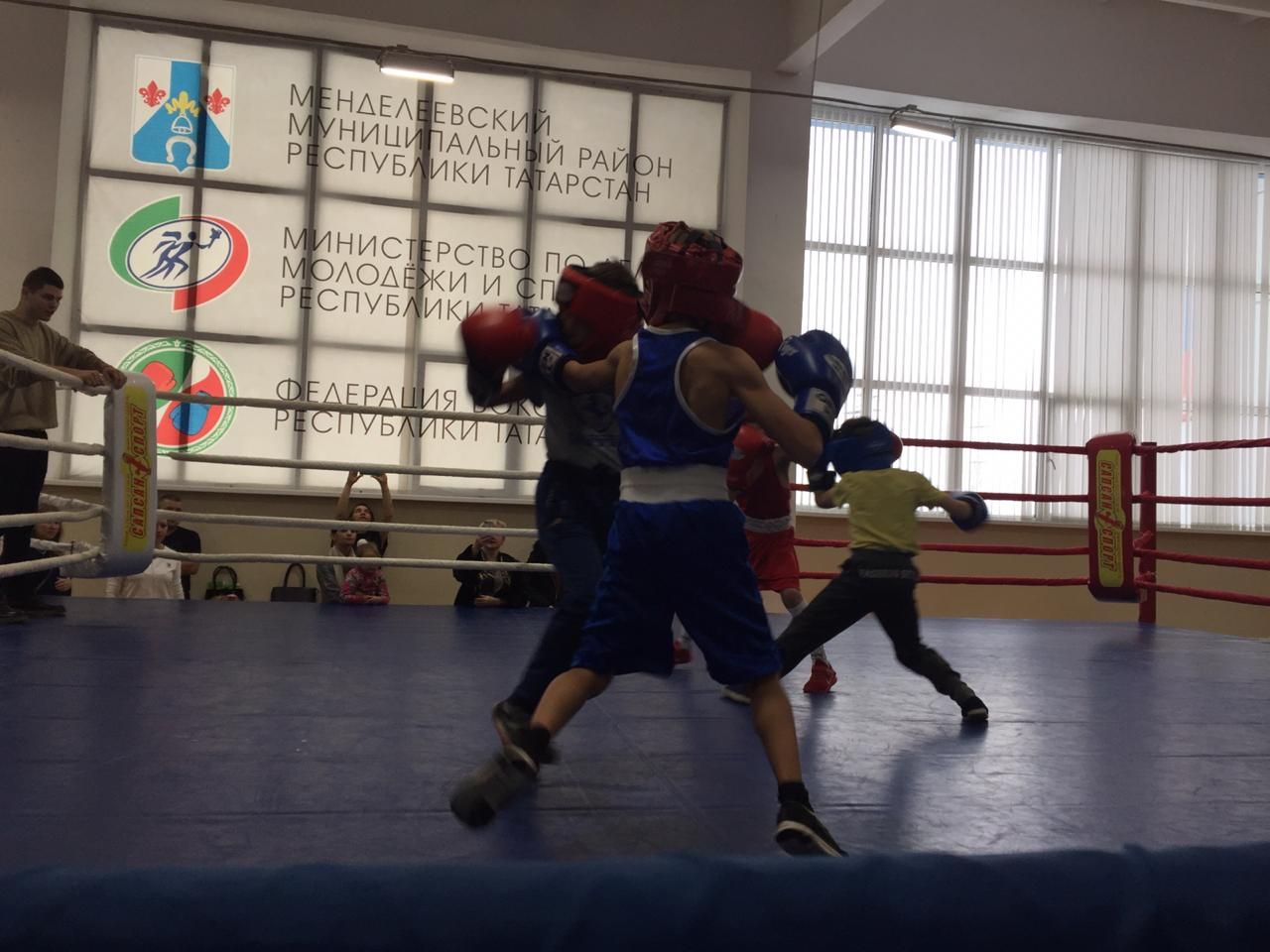 В Менделеевске прошли соревнования по боксу, посвященные Дню матери