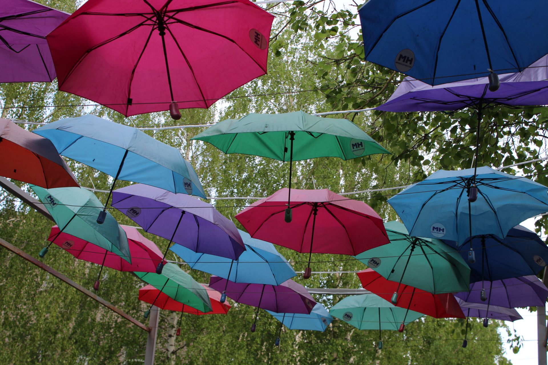 Кто выиграл ценный приз от "МН" на открытии "Аллеи парящих зонтиков"