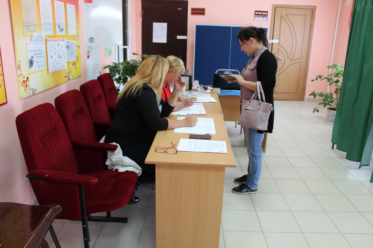 В Менделеевском районе проходят выборы депутатов представительных органов местного самоуправления