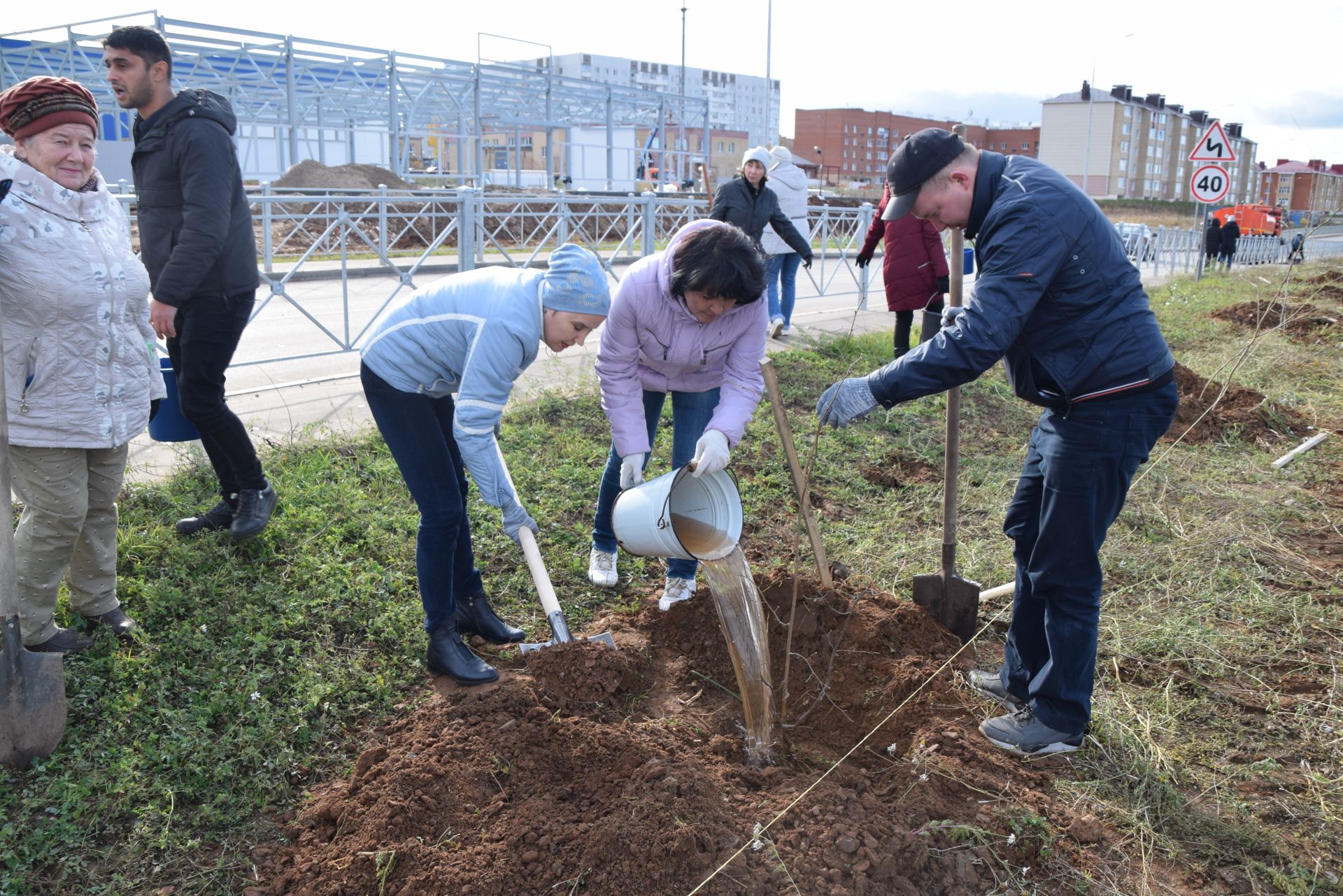 Более 700 молодых деревьев высадили в Менделеевске