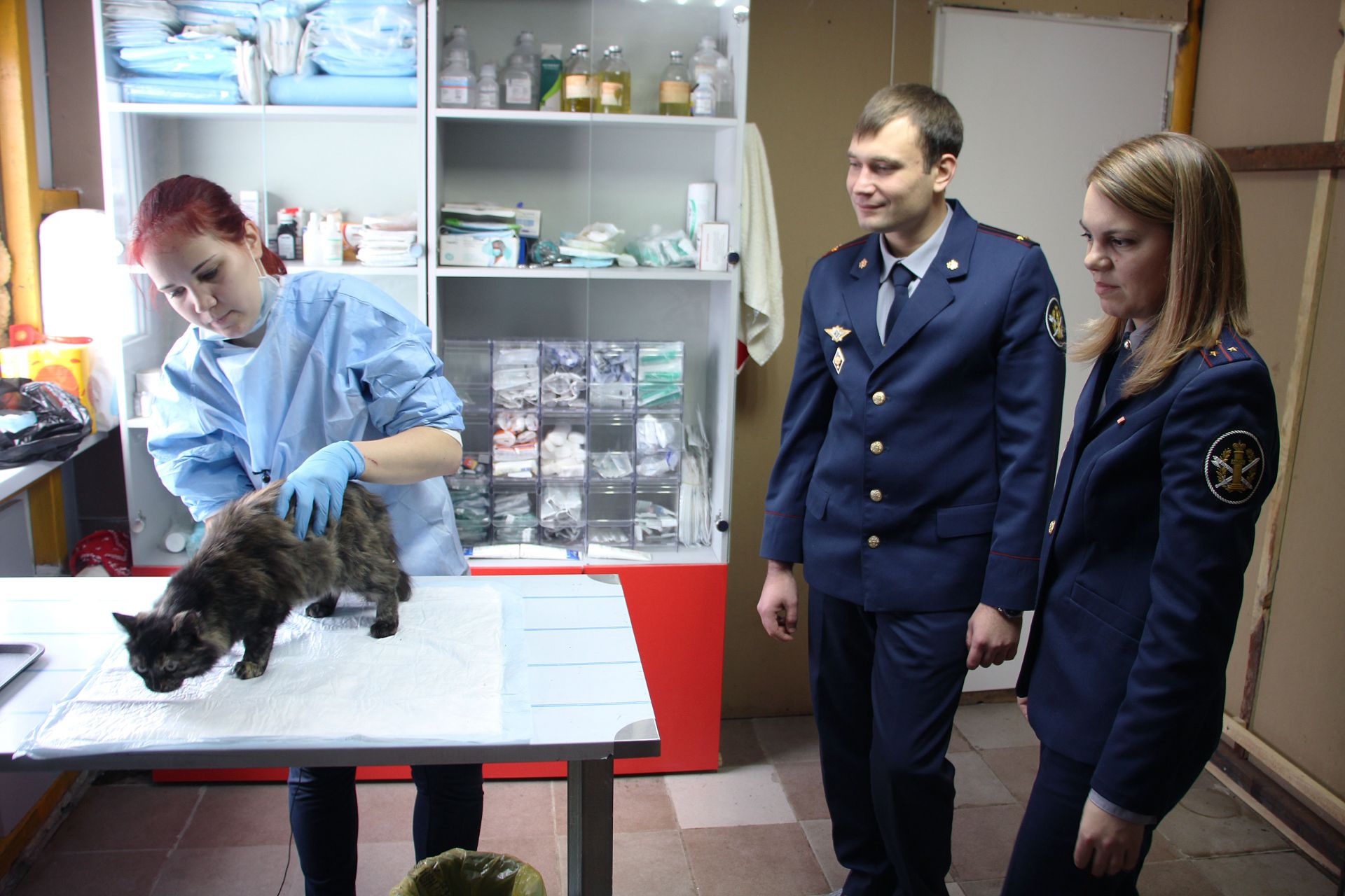 Задержанная в Менделеевске кошка-наркокурьер ищет новых хозяев