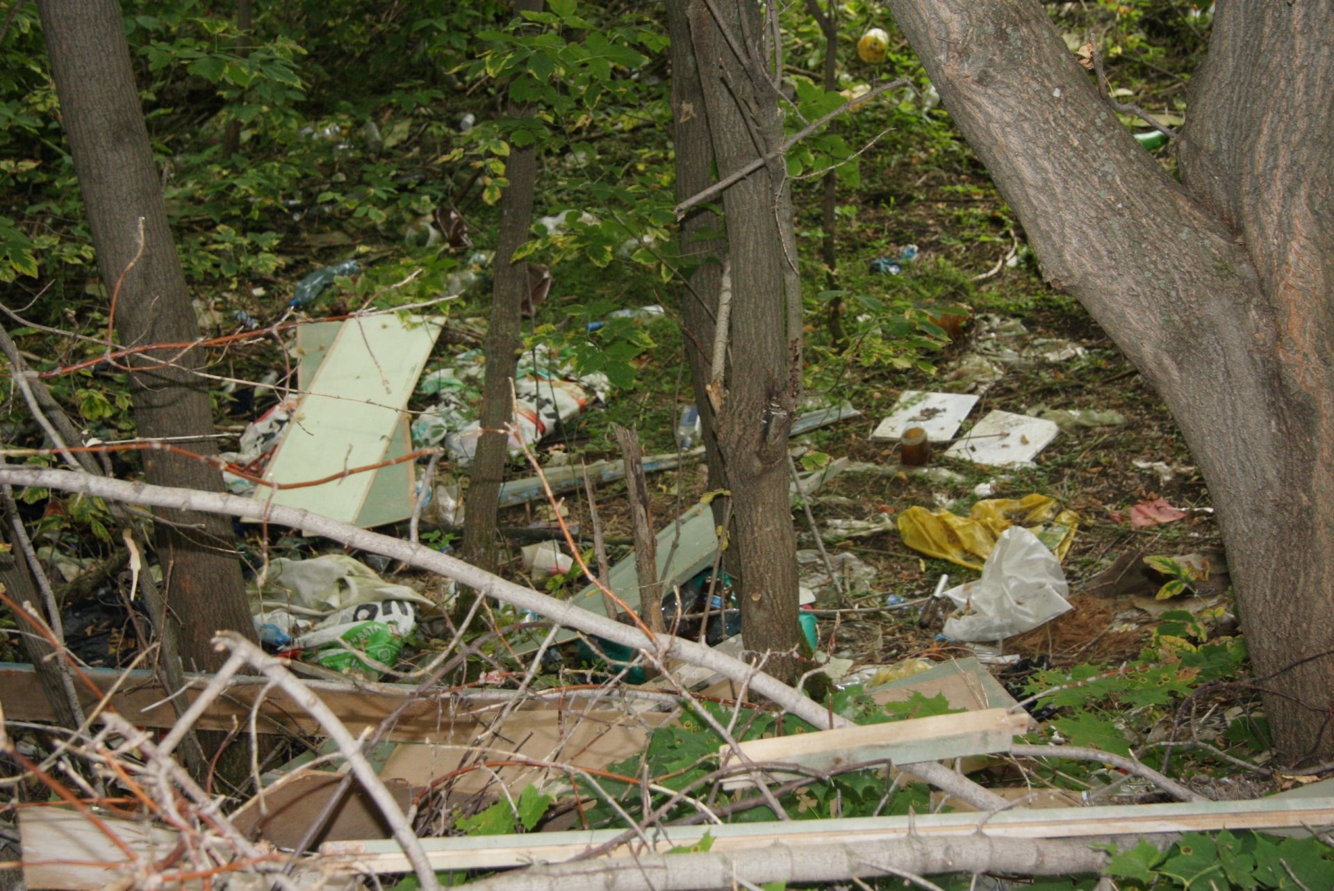 Менделеевцы очистили лес от 15 тонн мусора