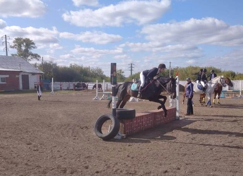 В конно-спортивной школе «Фаворит» прошли соревнования по конкуру