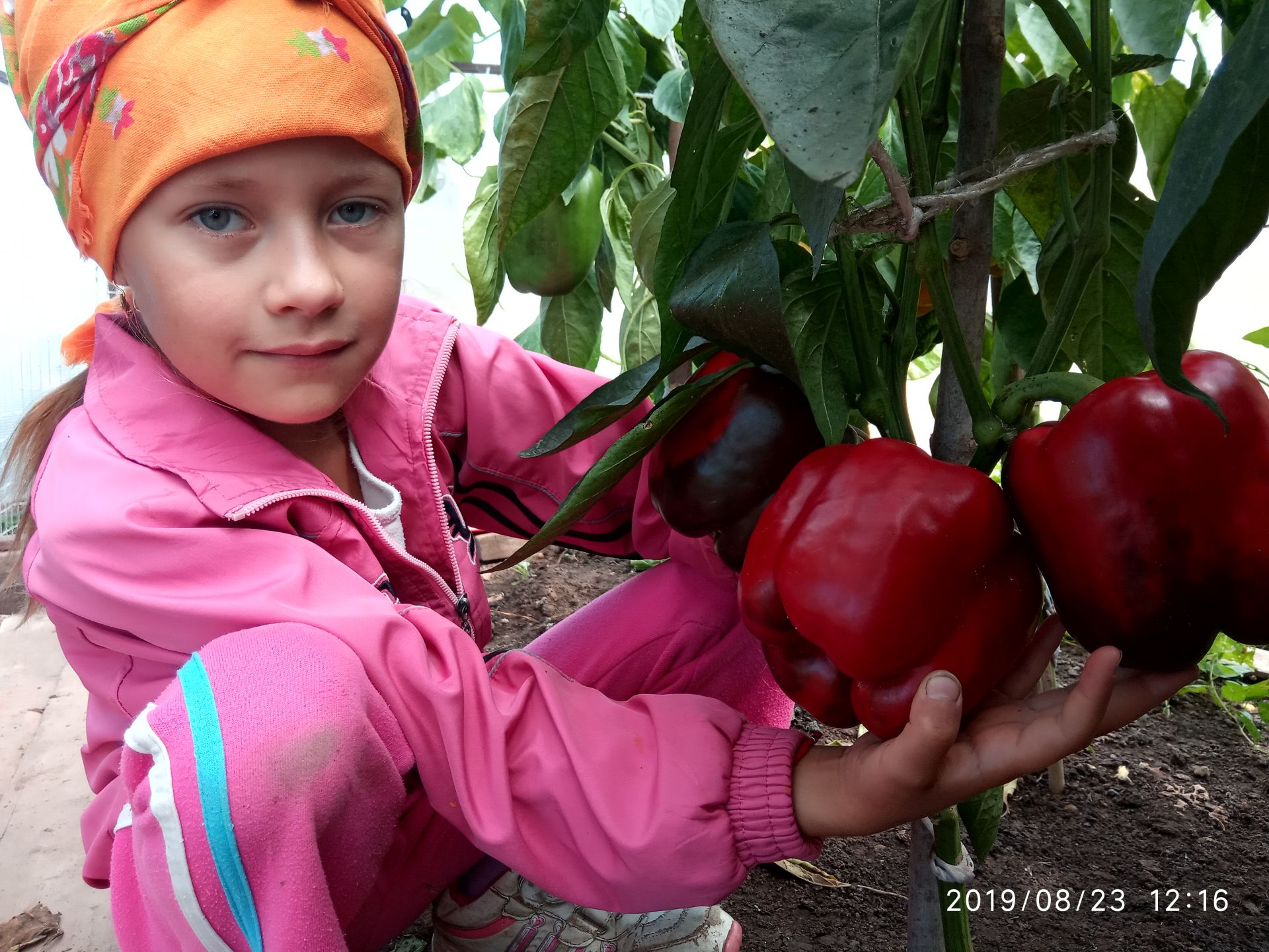 «Дары осени»: в конкурс огородников включилась ученица школы №3 Алия Мубаракшина