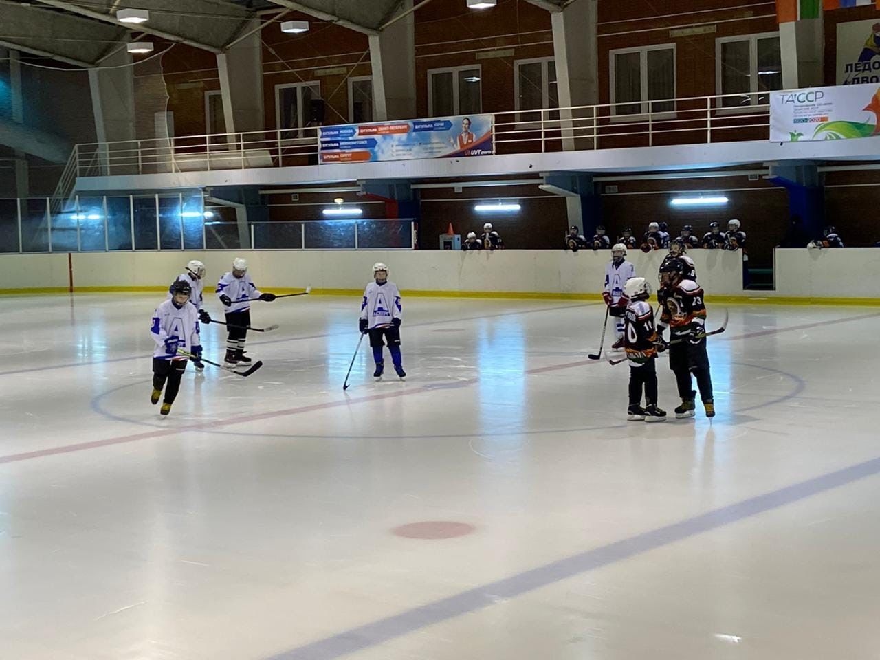 Менделеевские хоккеисты участвовали в Первенстве по РТ&nbsp;