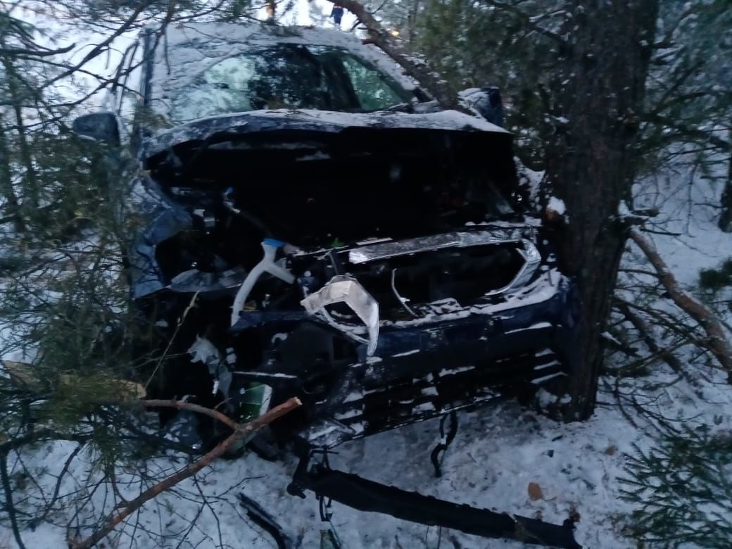 В Менделеевском районе женщина-водитель съехала в кювет и врезалась в дерево