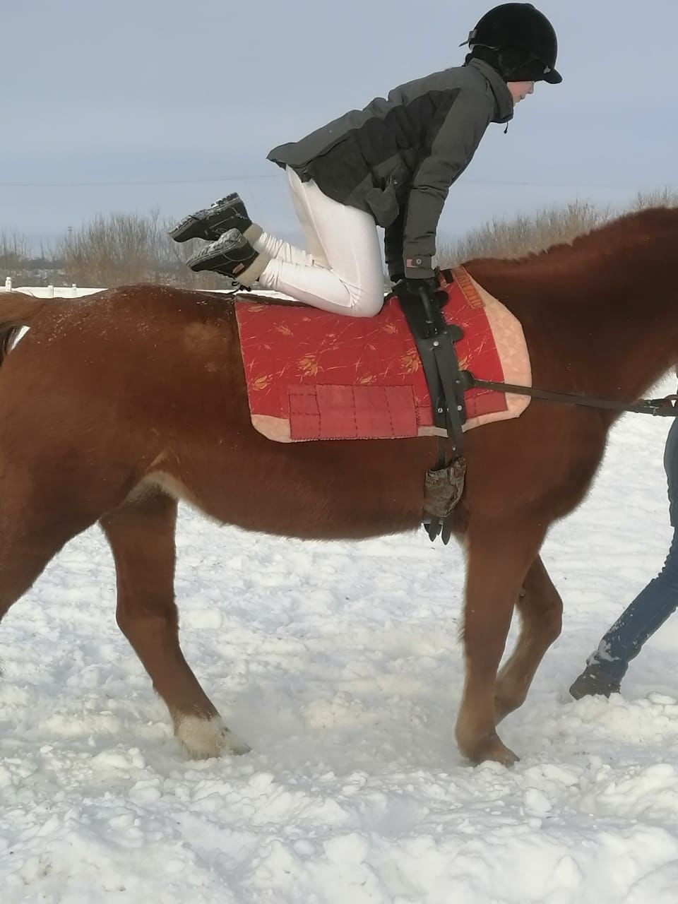 В Менделеевске прошла конная игра на приз Деда Мороза