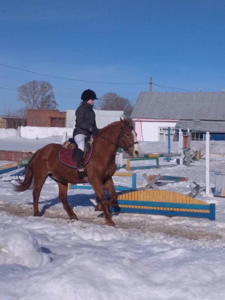 В Менделеевске прошли соревнования по конкуру