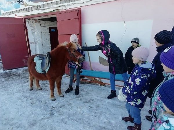 Воспитанники «Камских зорей» побывали с экскурсией в конно-спортивной школе «Фаворит»