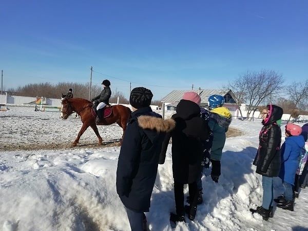 Воспитанники «Камских зорей» побывали с экскурсией в конно-спортивной школе «Фаворит»
