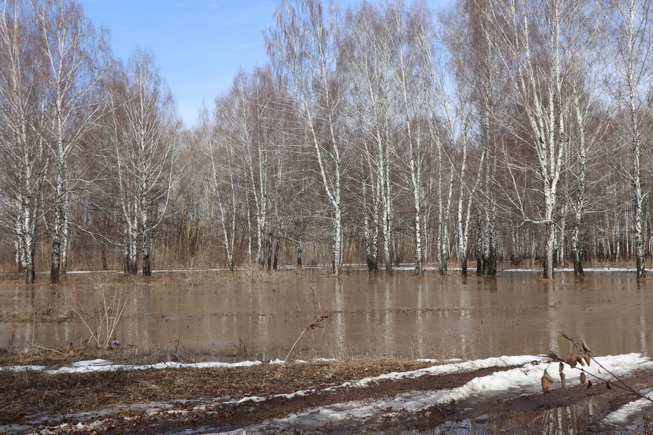 МЧС Менделеевскидагы дача участокларын су басу турында хәбәр итте