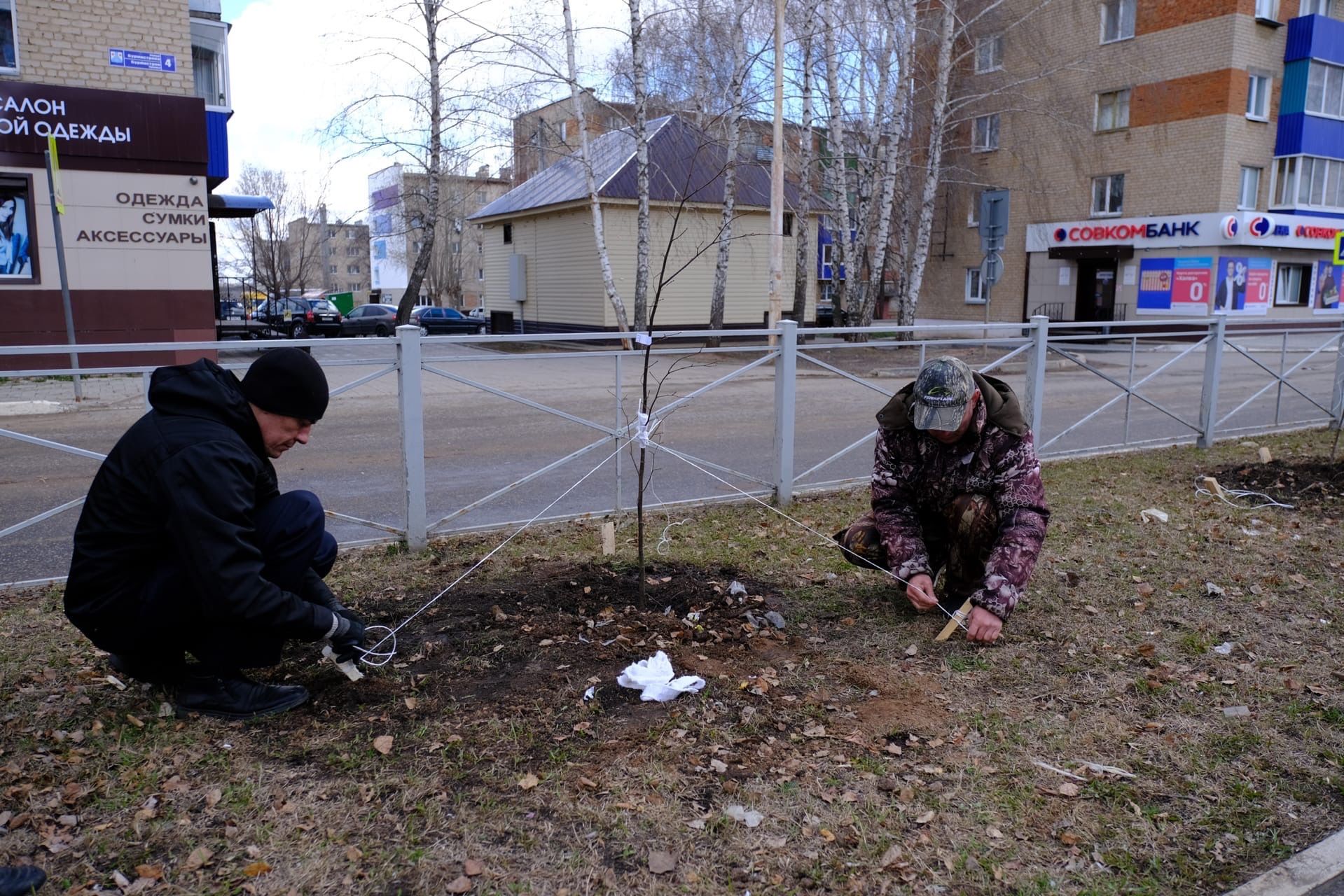 В Менделеевске посадили 80 саженцев лип