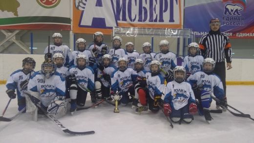 Менделеевские спортсмены стали третьими в Весеннем турнире по хоккею