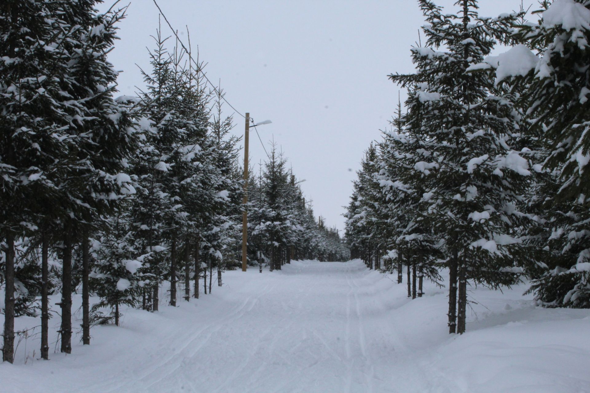Как работает лыжная база в Менделеевске