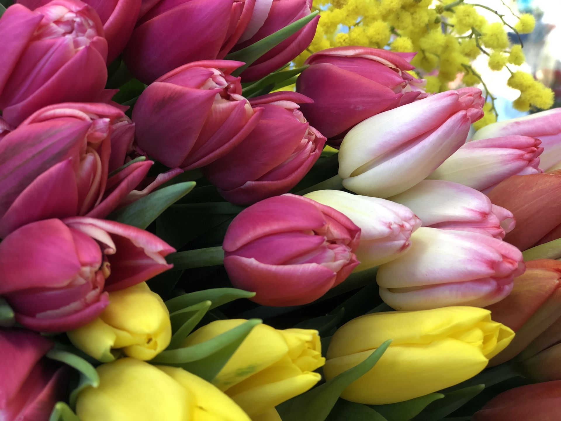 Букет для любимой: советы флориста, как выбрать цветы на 8 Марта