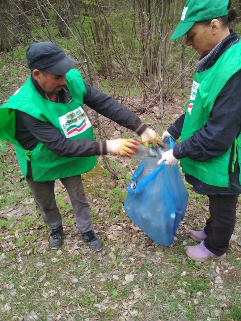 В Менделеевском районе убрали мусор на территории лесов