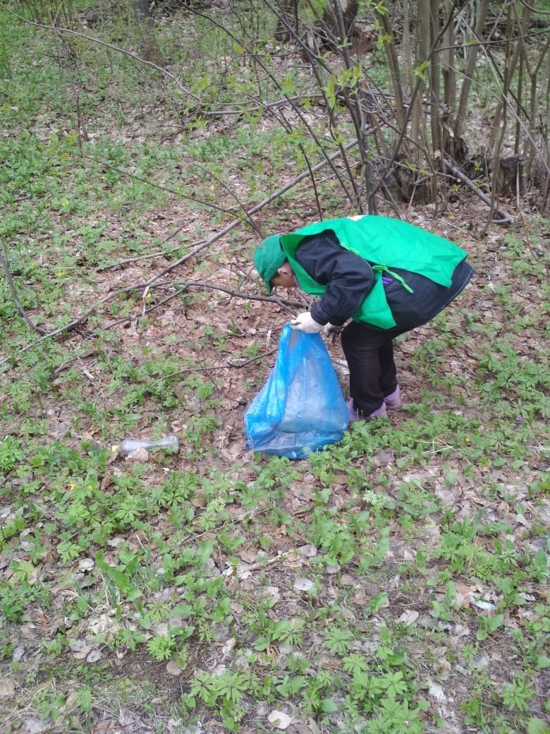 В Менделеевском районе убрали мусор на территории лесов