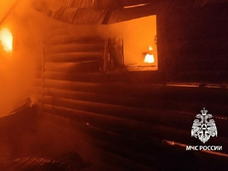 В бревенчатом доме в Татарстане заживо сгорел мужчина