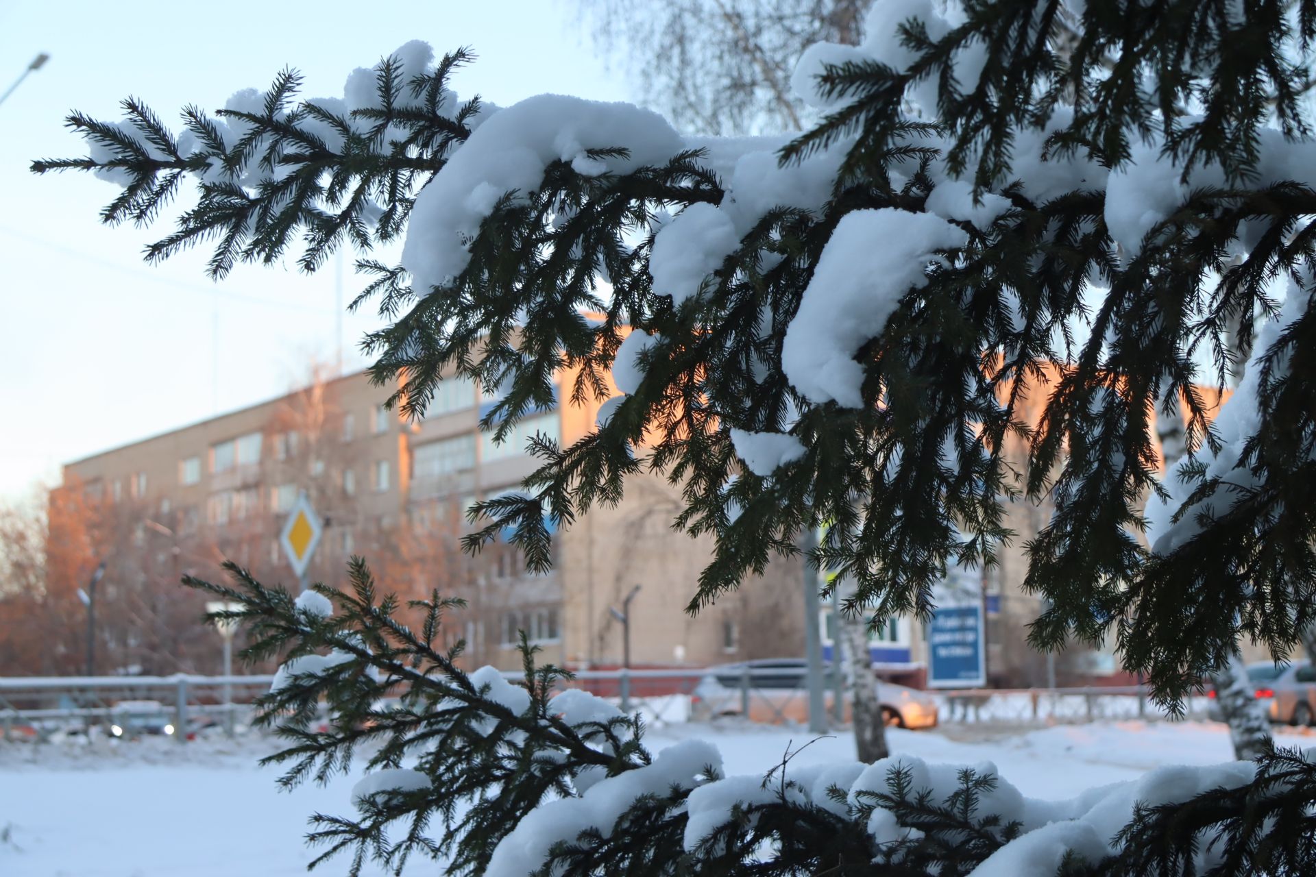 Стало известно расписание выходных в январе