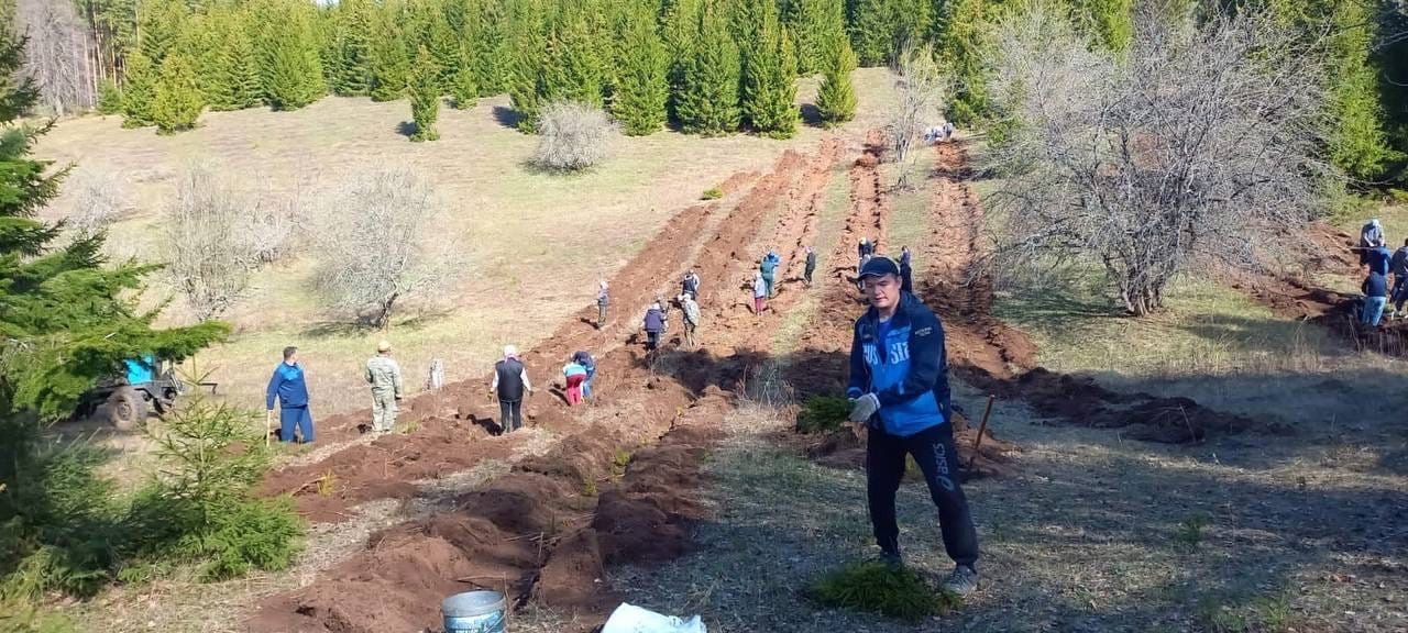 В Менделеевском районе прошла акция «Сад памяти»