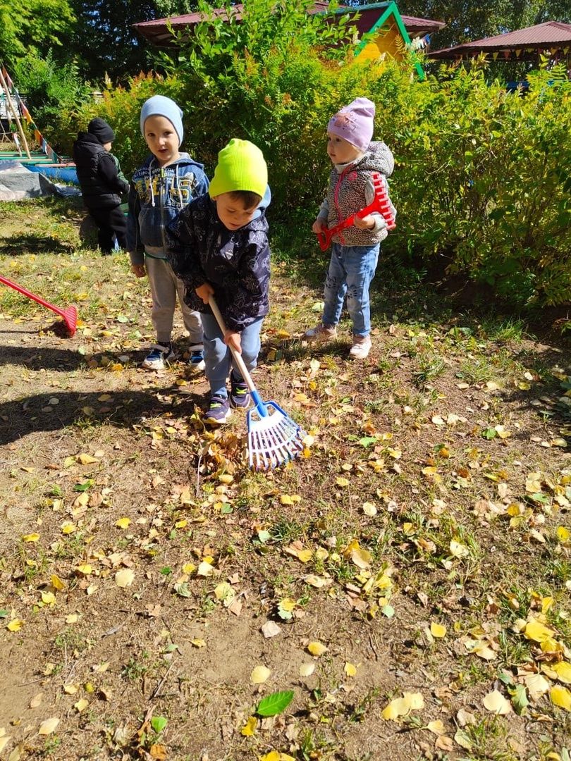 В детском саду №10 Менделеевска высадился трудовой эко-десант