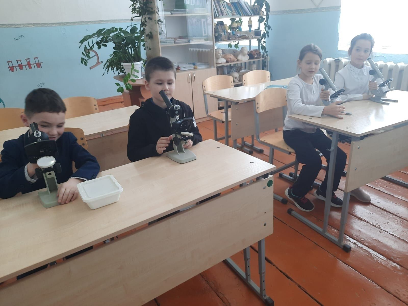 В Бизякинской школе отметили День российской науки