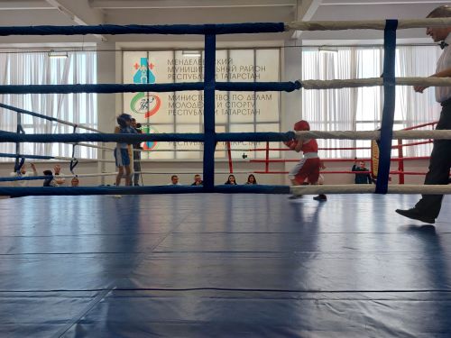 В спортивной школе «Батыр» ​проходит Всероссийский турнир по боксу