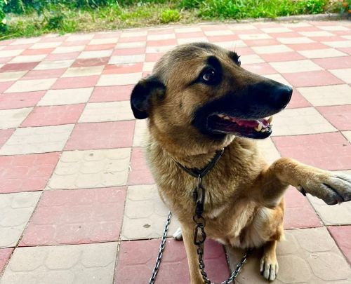 Лайфхаки от «МН»: как спать в жаркую погоду