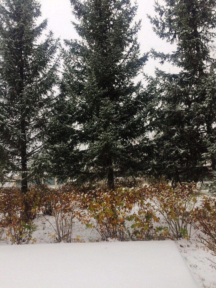 Синоптики Татарстана предупреждают о мокром снеге и образовании гололедицы