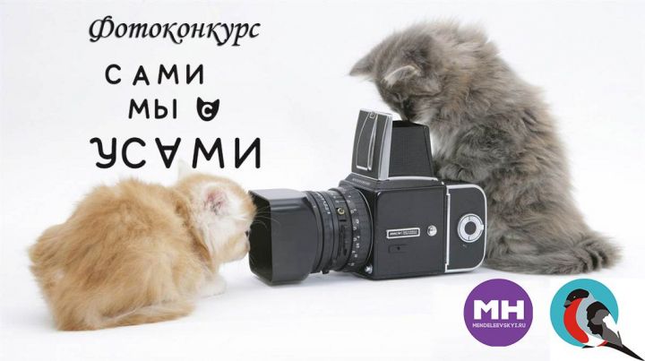 МН объявляет о старте второго этапа фотоконкурса "Сами мы с Усами"