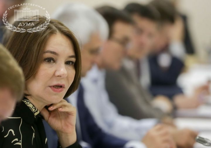 Альфия Когогина: Комитет поддержал законопроект о краудфандинге
