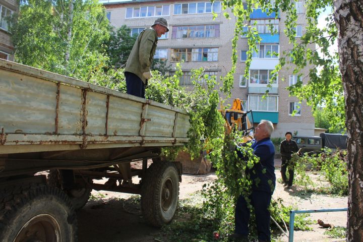 Спил деревьев в Менделеевске становится причиной конфликта