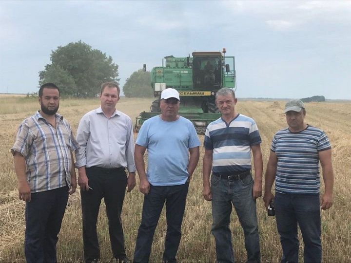 Земледельцы Менделеевского района вышли на уборку урожая