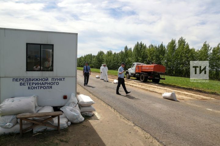В Республике Татарстан сняли карантин по птичьему гриппу