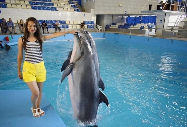 Корреспондент «МН» приручила дельфинов