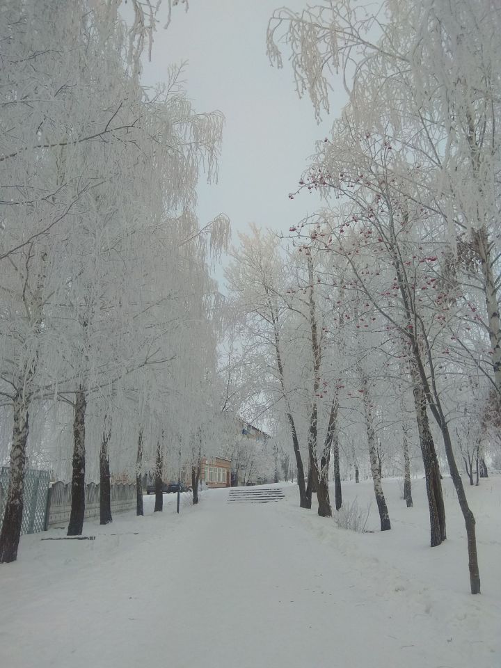 Синоптики Татарстана предупреждают о тумане и гололедице