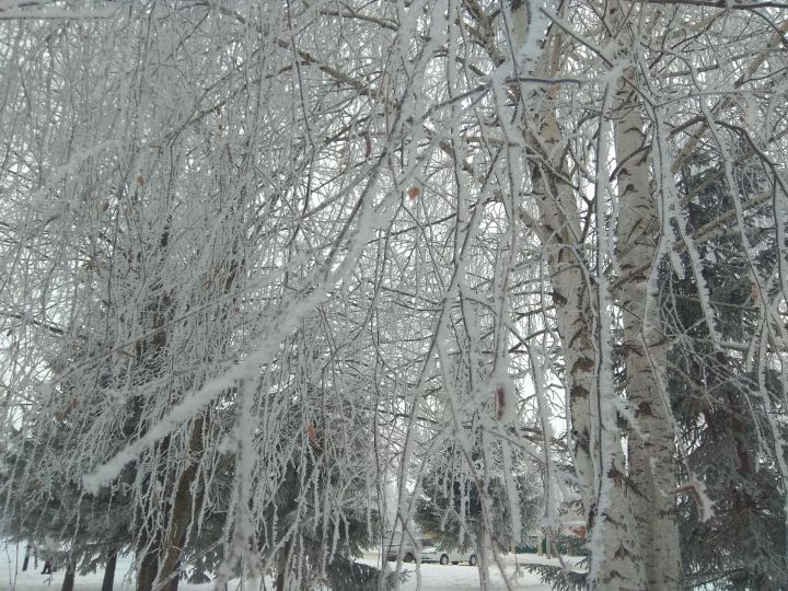До 28 градусов мороза и небольшой снег ожидается в&nbsp;Татарстане
