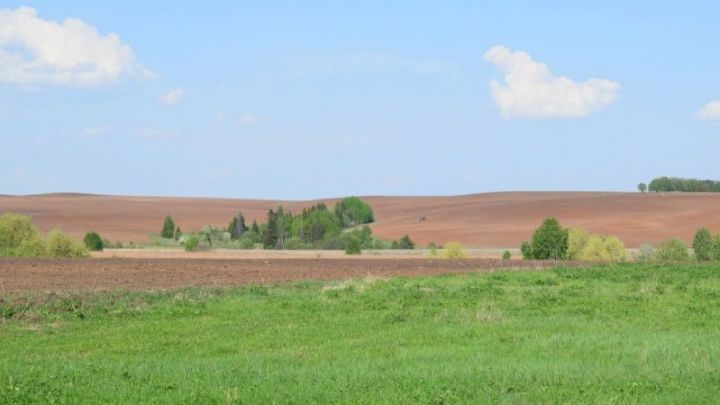 В Менделеевском районе близится к завершению посевная кампания