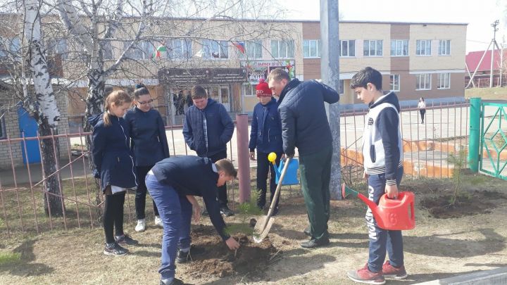 Учащиеся школы №2 поучаствовали в акции «День посадки леса»