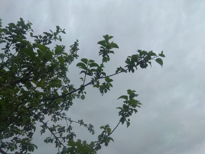 В Татарстане в субботу ожидается ухудшение погоды
