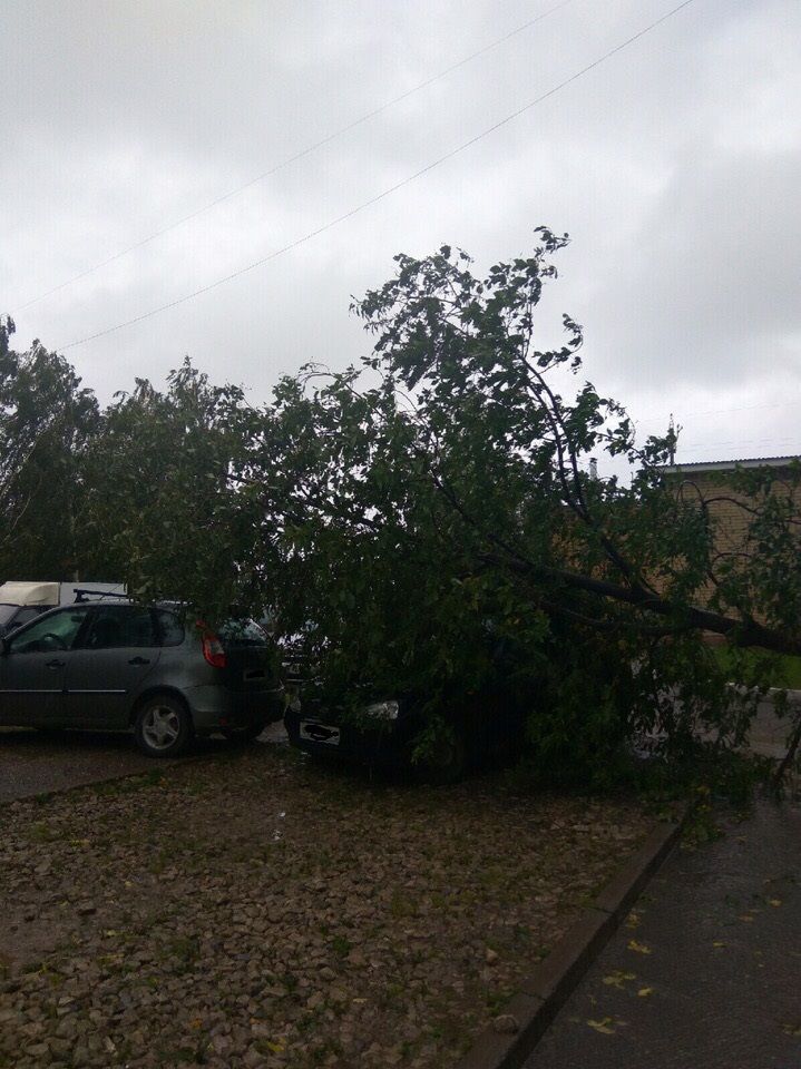 В Менделеевске ураганный ветер повалил дерево на автомобиль