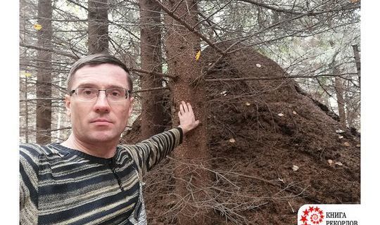 Самый большой муравейник в России обнаружил журналист ИА «Татар-информ»