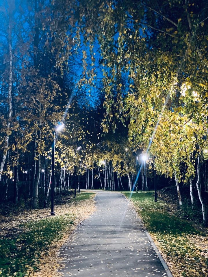 В парке «Ушковские острова» появилось новое освещение