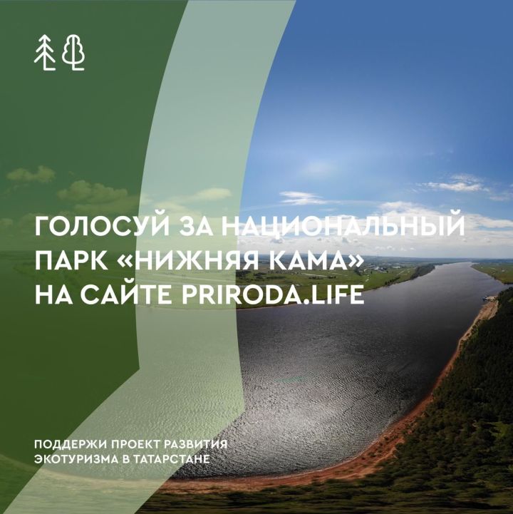 «Поднажали»: Татарстанцы откликнулись на призыв Минниханова проголосовать в конкурсе по развитию экотуризма