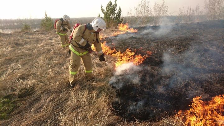 В Менделеевском районе ликвидировали возгорание сухой травы