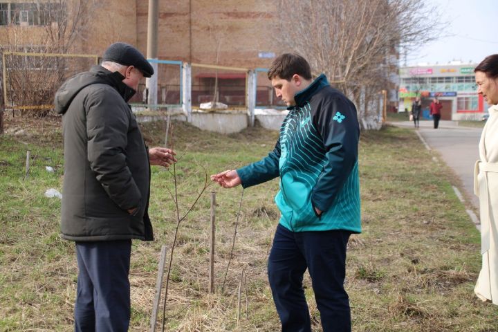 Провалившийся участок тротуара, ревизия посаженных деревьев: что изменится в Менделеевске в ближайшее время