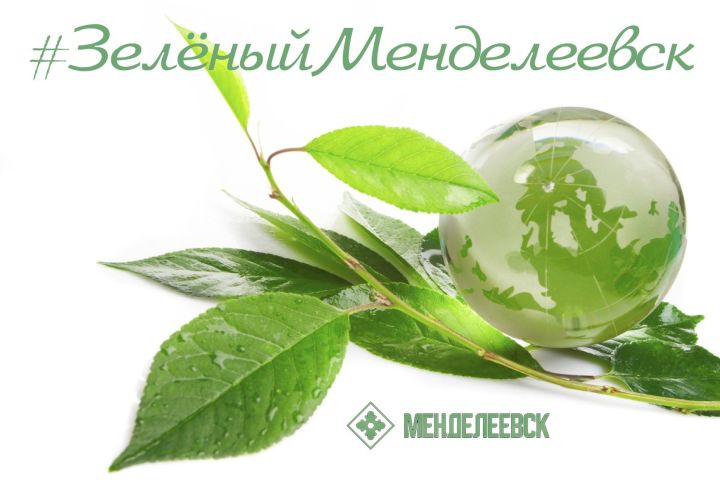 В Менделеевске стартовал санитарно-экологический двухмесячник по очистке территорий